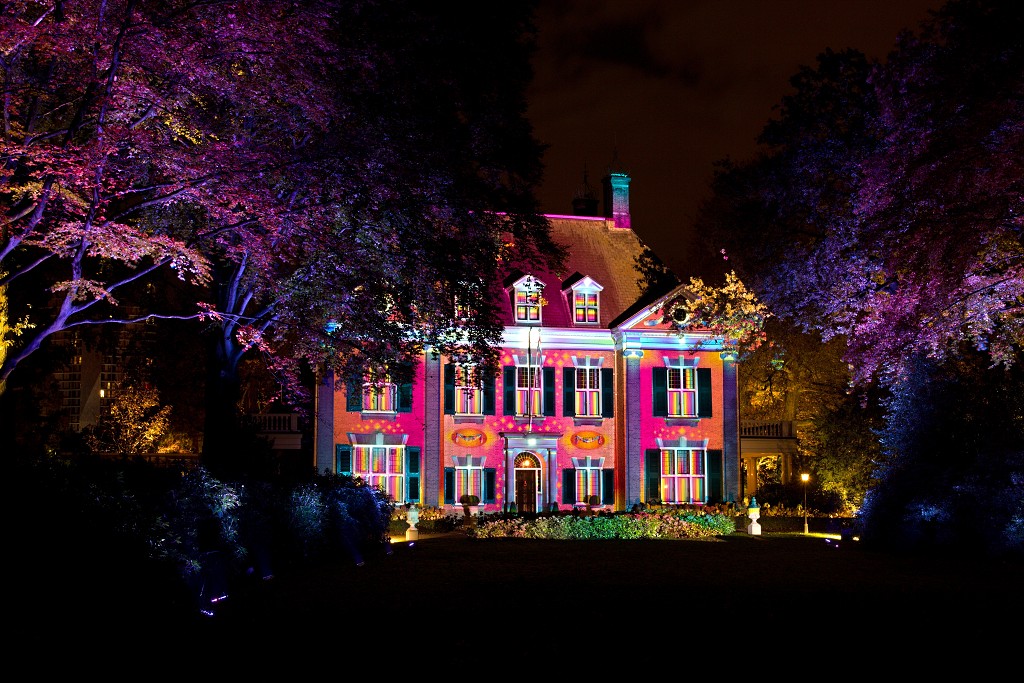 eindhoven kunst art china light licht festival lichtshow show festiviteit glow evenement event chinees chinese verlichting draak dragon lichtfestival